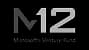 Microsoft M12
